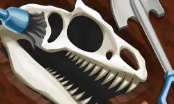 Dino Quest - Dig & Discover Dinosaur Fossil & Bone