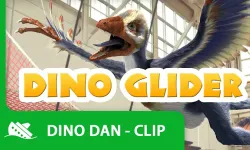 Dino Glider