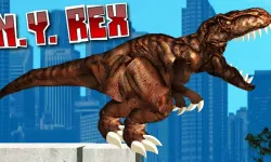 New York Rex