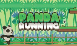 Panda Running