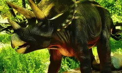 Triceratops Dinosaur Puzzle