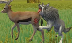 Wolf Life Simulator